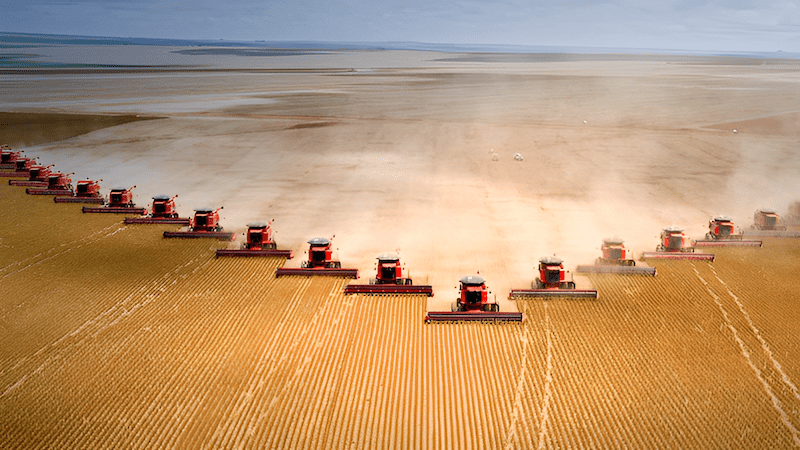 rise of mono-cropping is due in part to advancements in mechanized agriculture