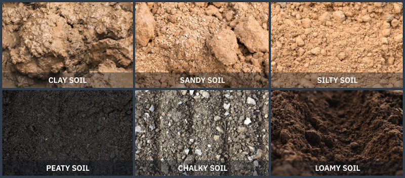 soil types, clay soil, peat soil, chalk soil, sandy soil, loam soils, silt soil, rocky soil and gravel soil