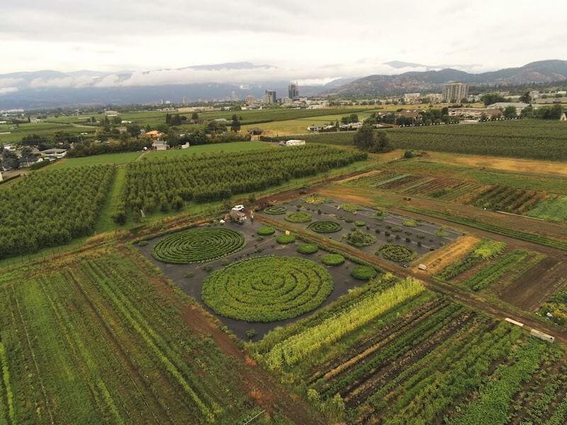 urban agriculture compared to conventional farming