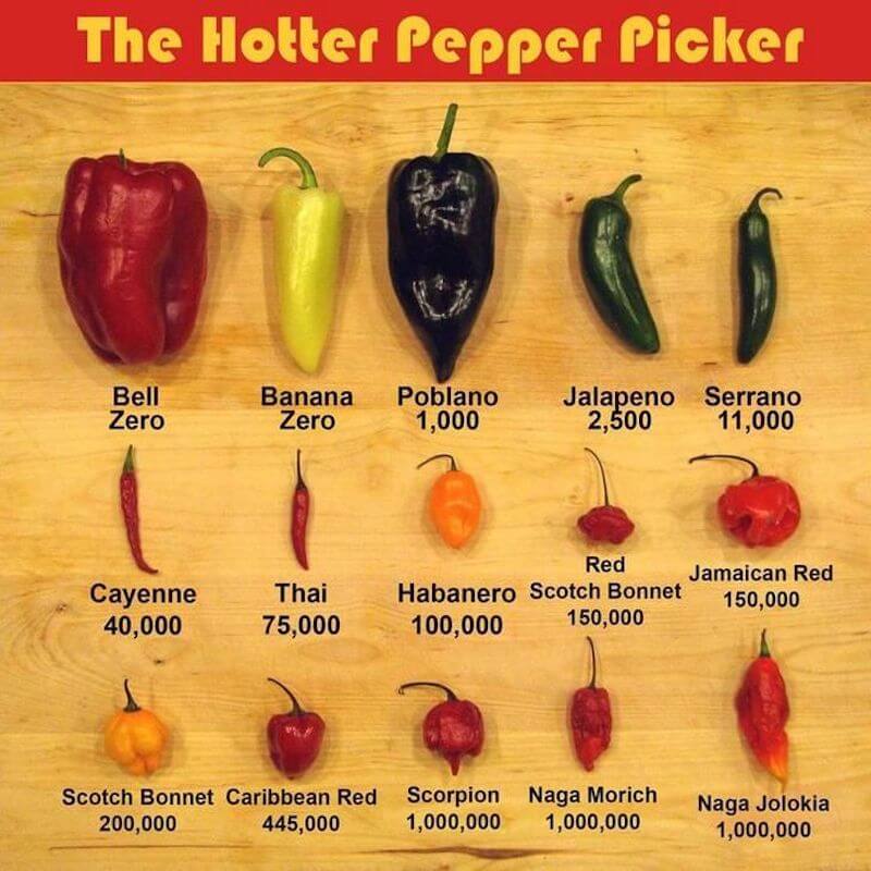 The Scoville Index for Peppers A Guide to Heat Levels