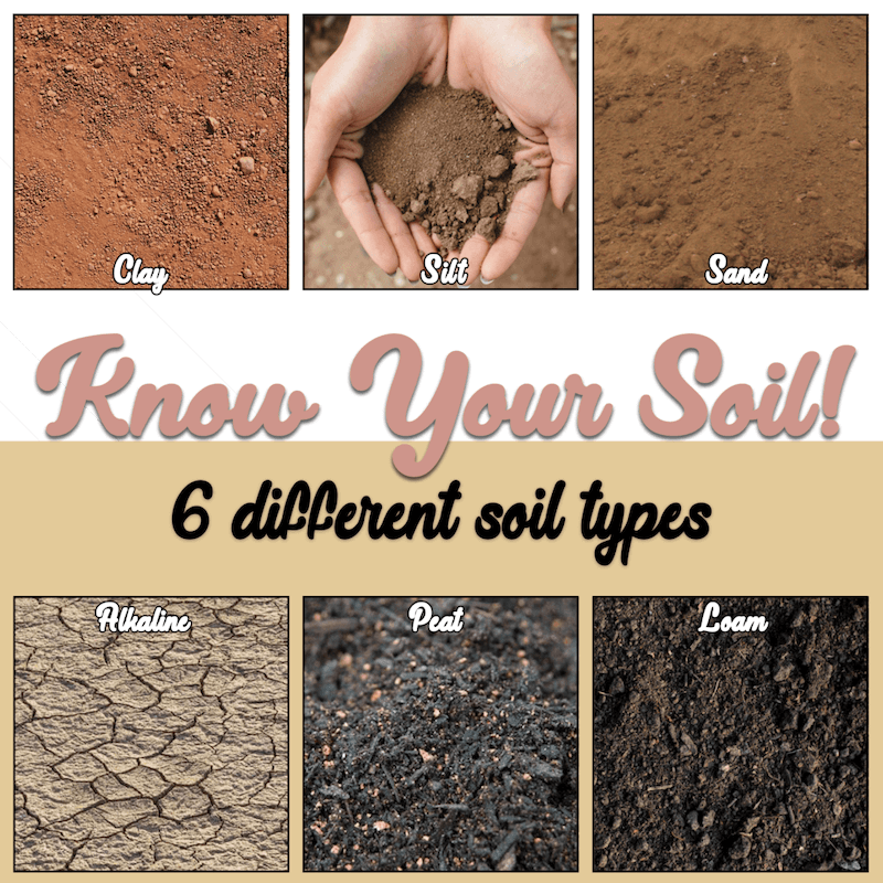 Types Of Soil Clay Peat Sandy Loam Soils